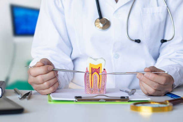 Best Weekend Emergency Dentist in Aurora, IN